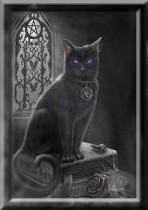 gen__vyr_605dt153931-black-cat-witch-cat-bedding.jpg