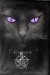 gen__vyr_605DT153931-Black-Cat-Witch-Cat-Beddinguz